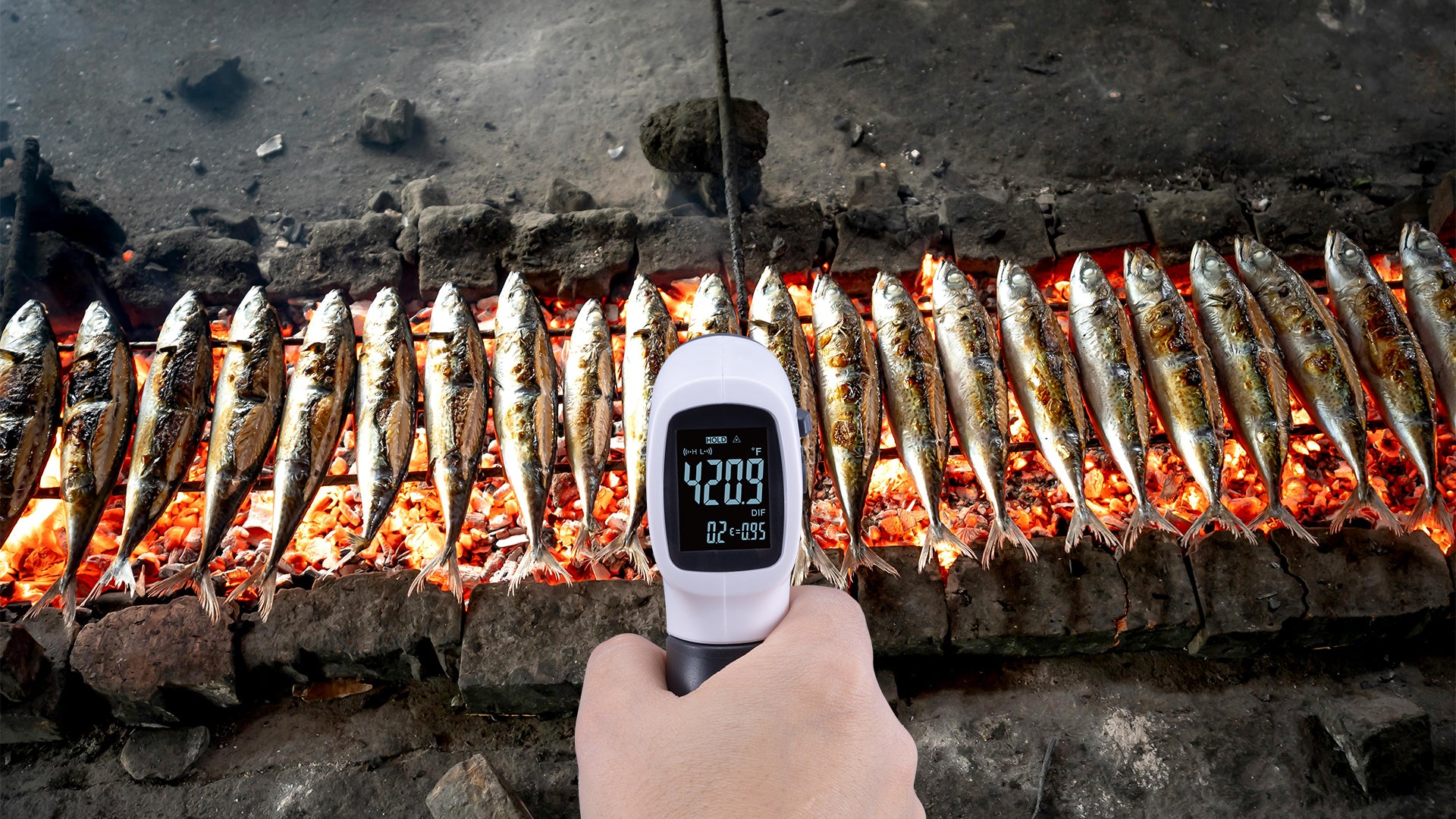 黑3.jpg__PID:211cfe5a-db25-4d3a-92b7-c96470b3a152